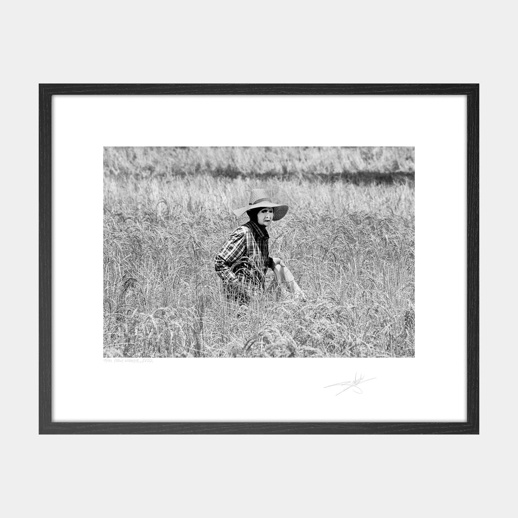 Thai Farm Worker