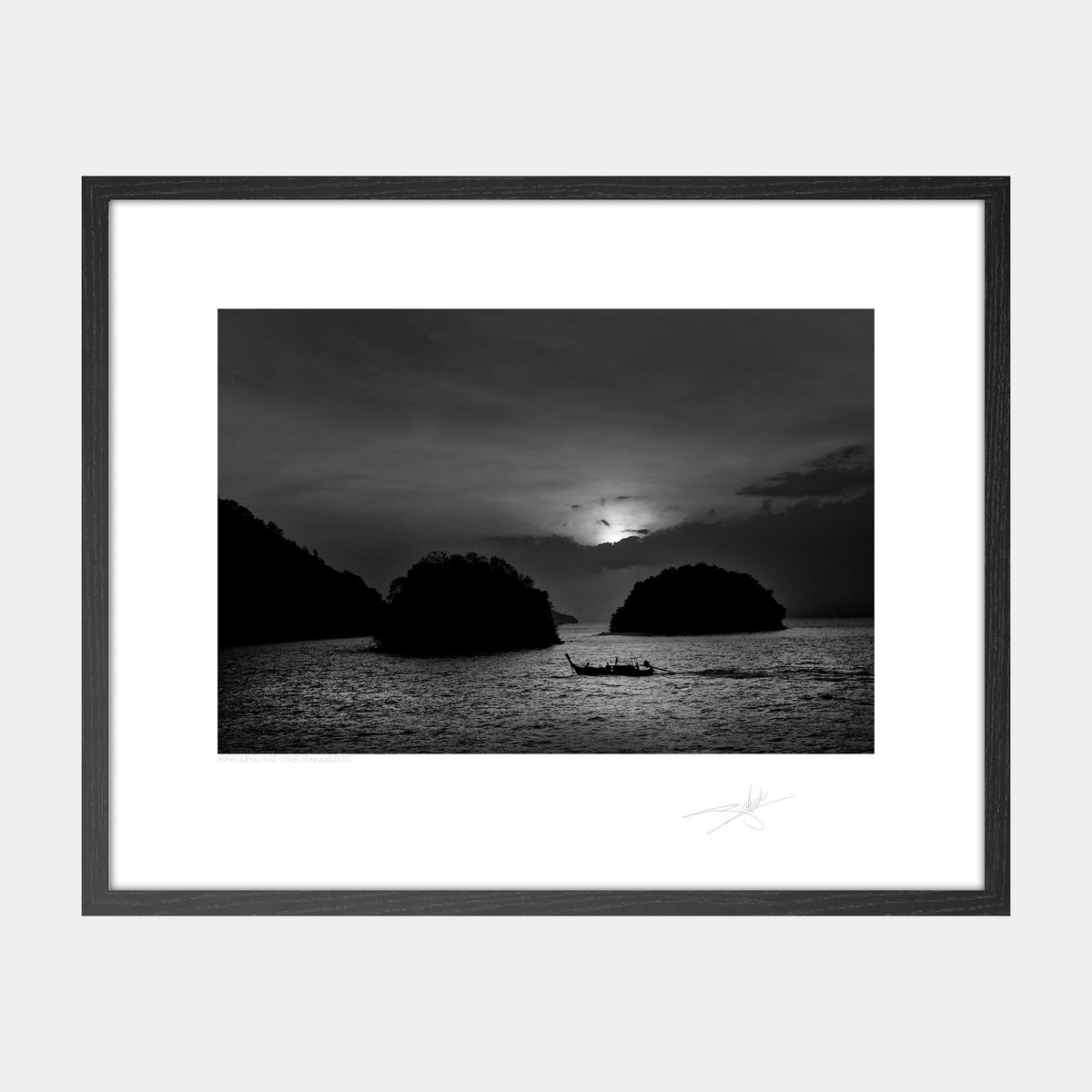 Moonlight & Long-Tails