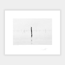 Load image into Gallery viewer,  Bird on a pole