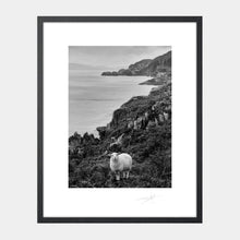 Load image into Gallery viewer, Beara Peninsula