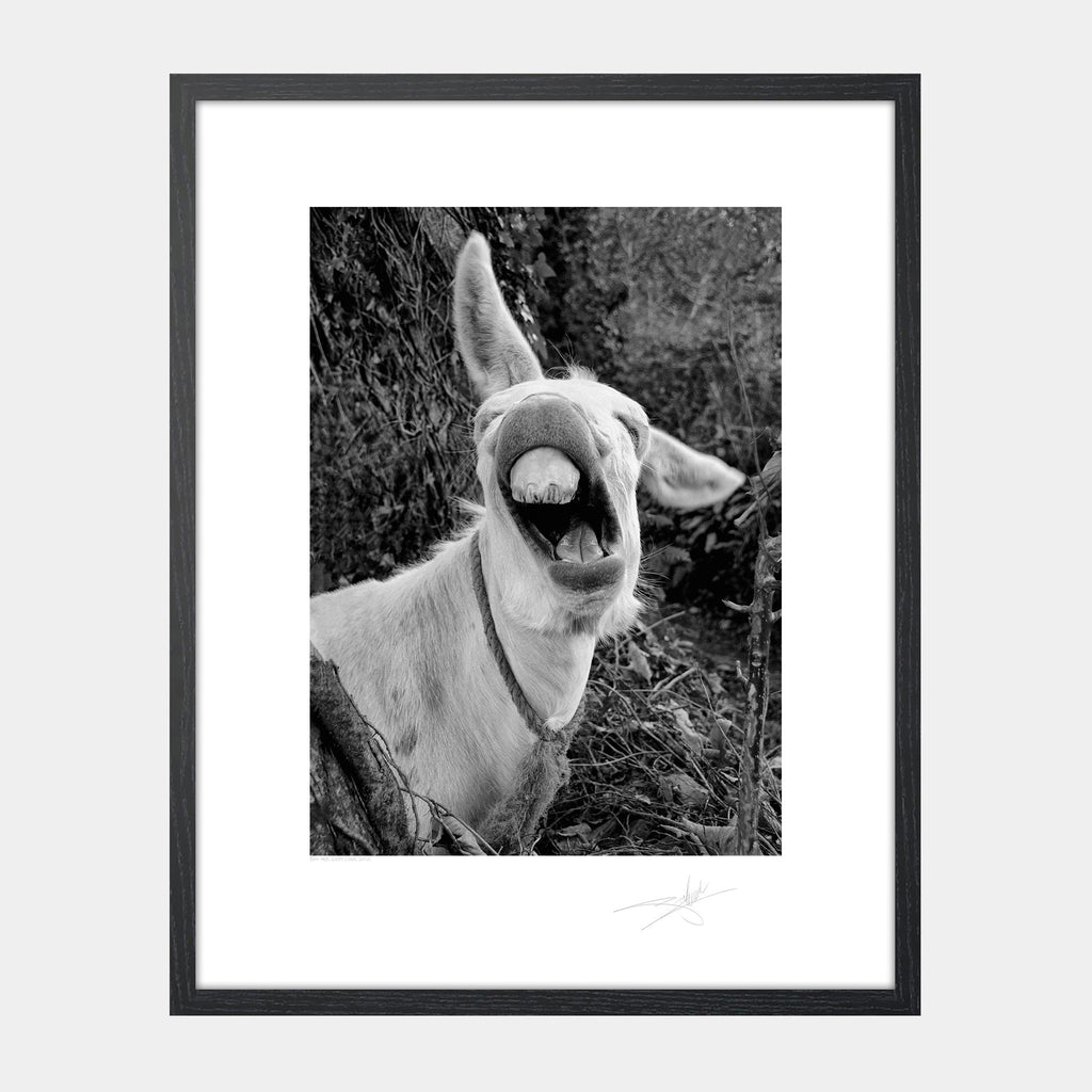 Bad Ass west cork Ireland 2010