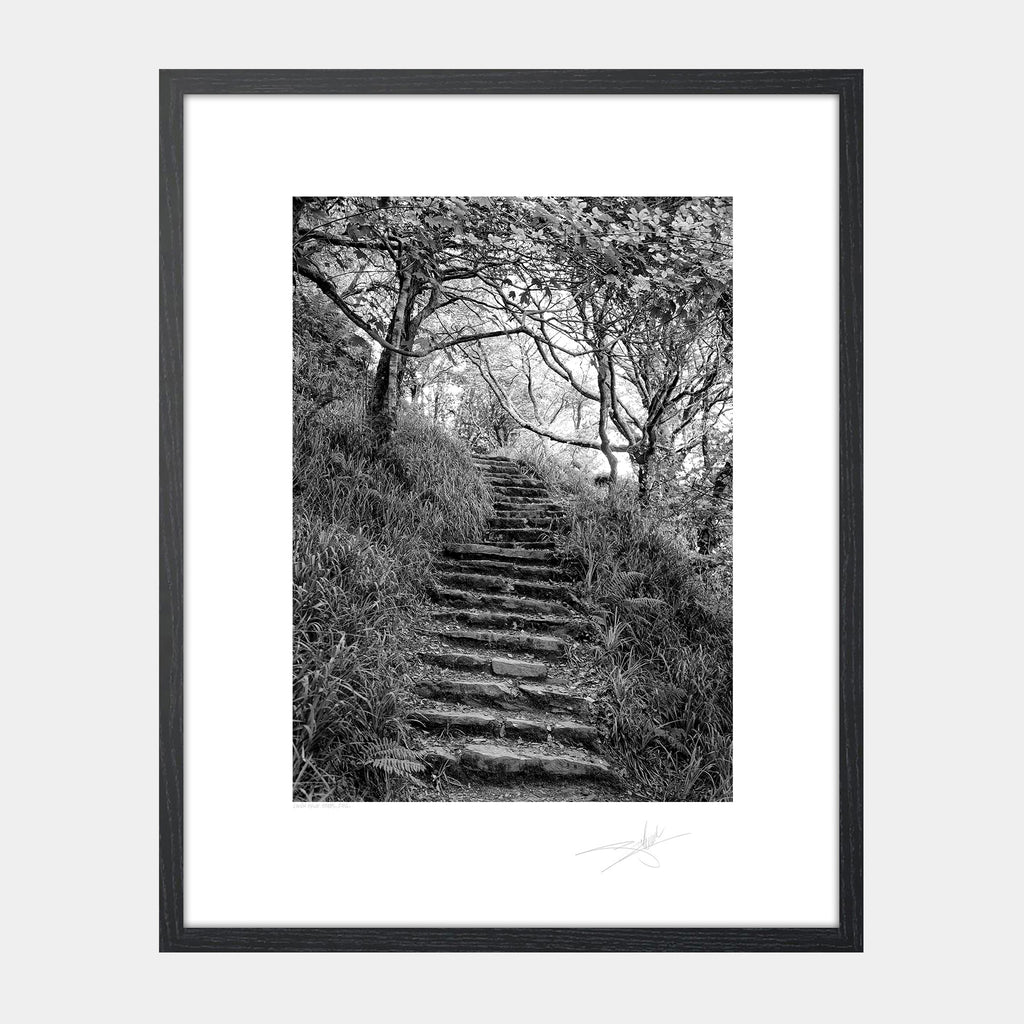 Lough Hyne steps, West Cork 2014 Ireland