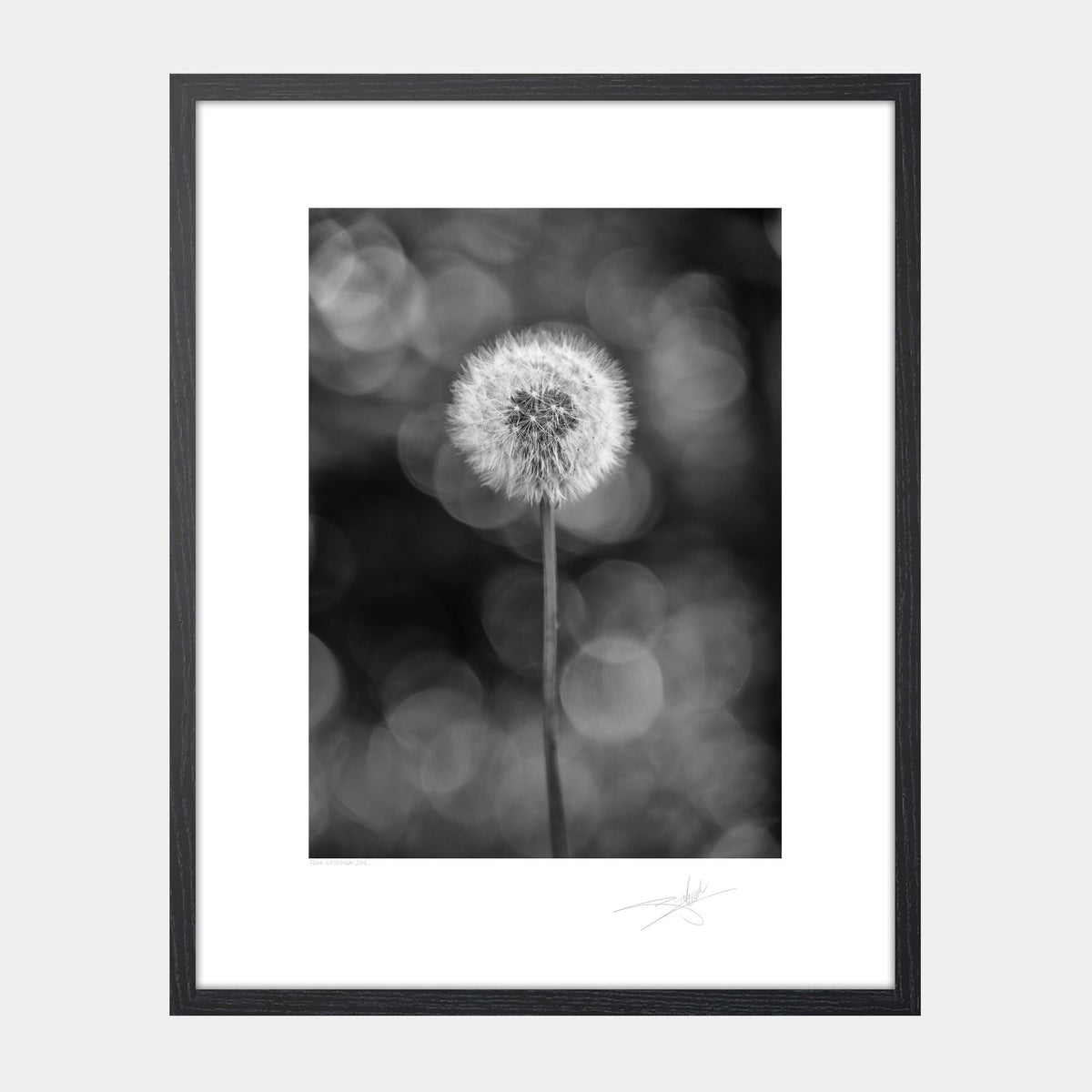 Flora West Cork 2014 Ireland