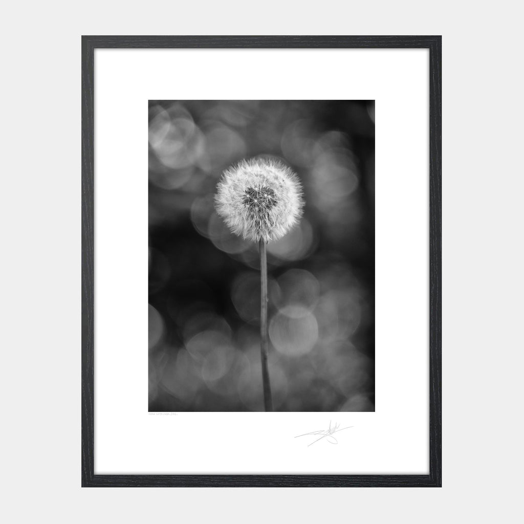 Flora West Cork 2014 Ireland