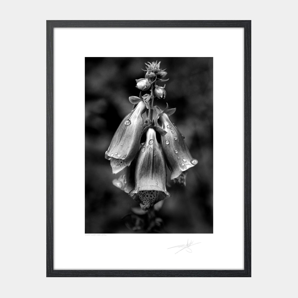 Flora West Cork 2014 Ireland