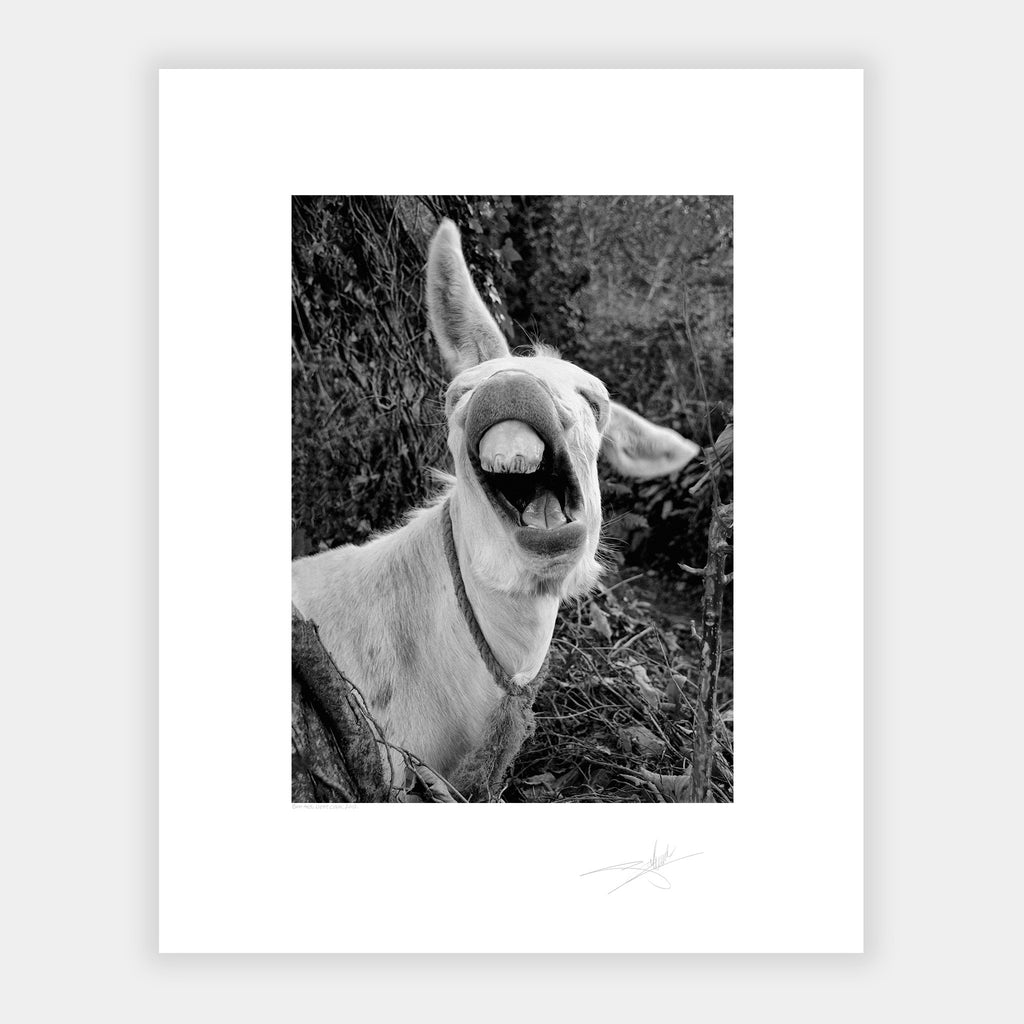 Bad ass West Cork Ireland 2010