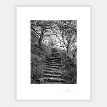 Load image into Gallery viewer, Lough Hyne steps, West Cork 2014 Ireland