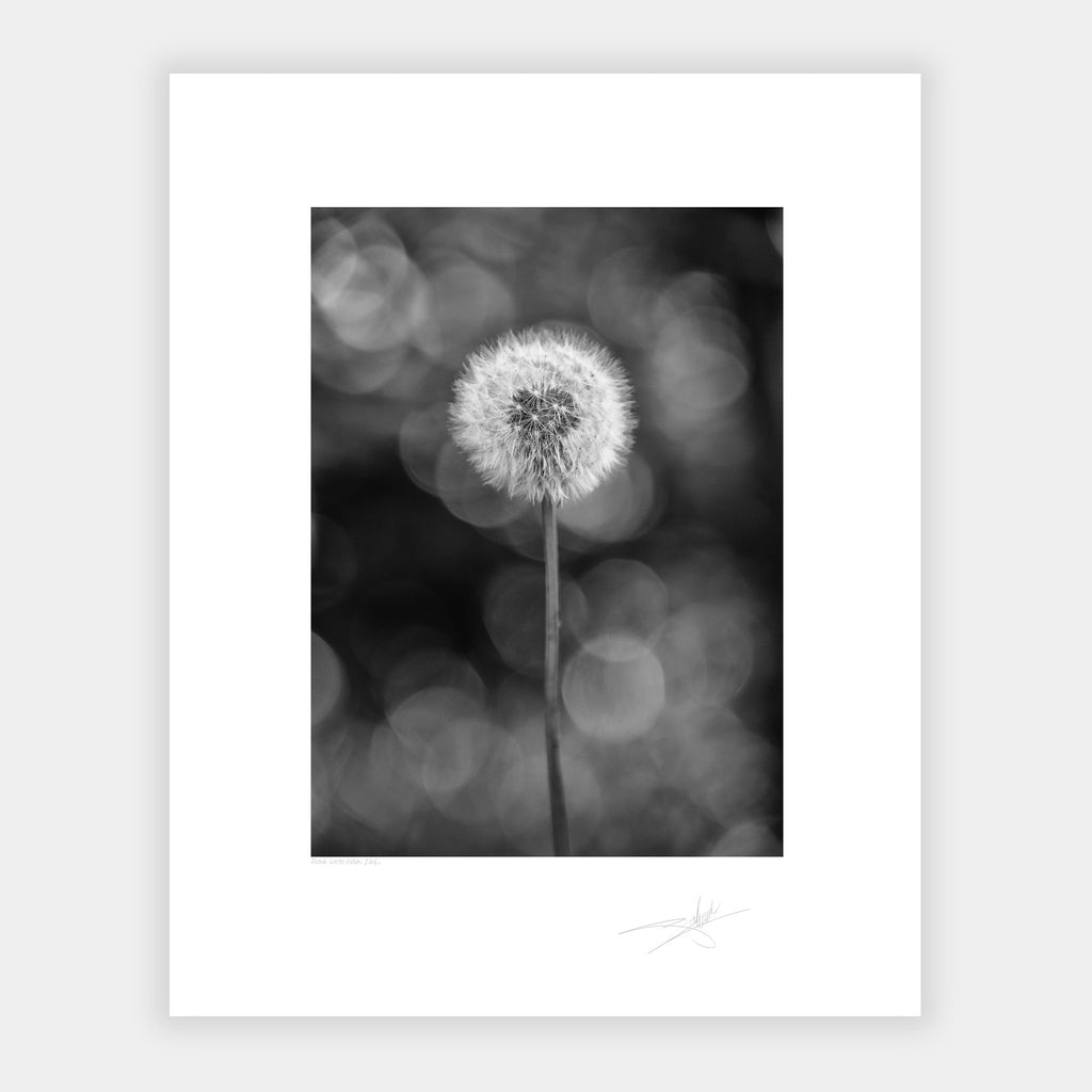 Flora West Cork 2014 Ireland