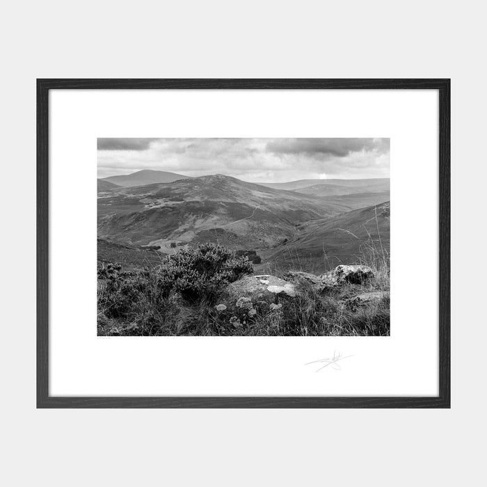 Wicklow