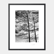 Load image into Gallery viewer, Wicklow