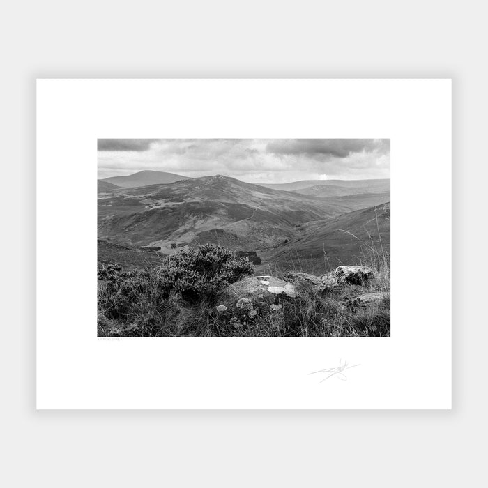 Wicklow